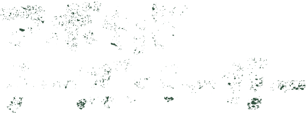 アボカドチーズバーガー