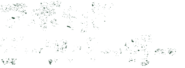 アボカドビーフバーガー