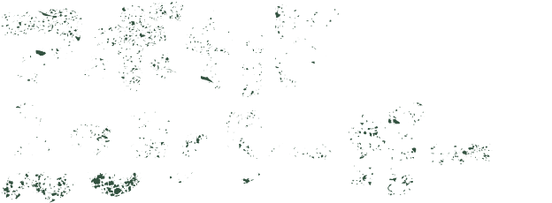 アボカドえびバーガー