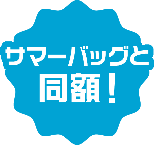 サマーバッグと同額！